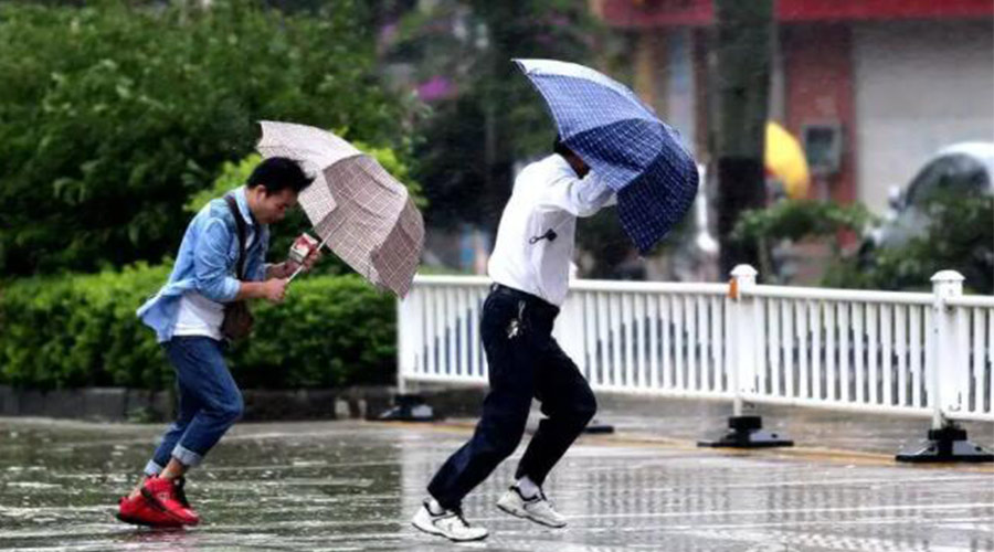 9號臺風(fēng)“馬鞍”生成！金環(huán)電器提醒大家要注意的事項