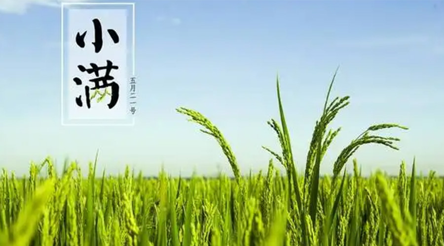 小滿時節(jié)！金環(huán)電器提醒大家要注意的事項