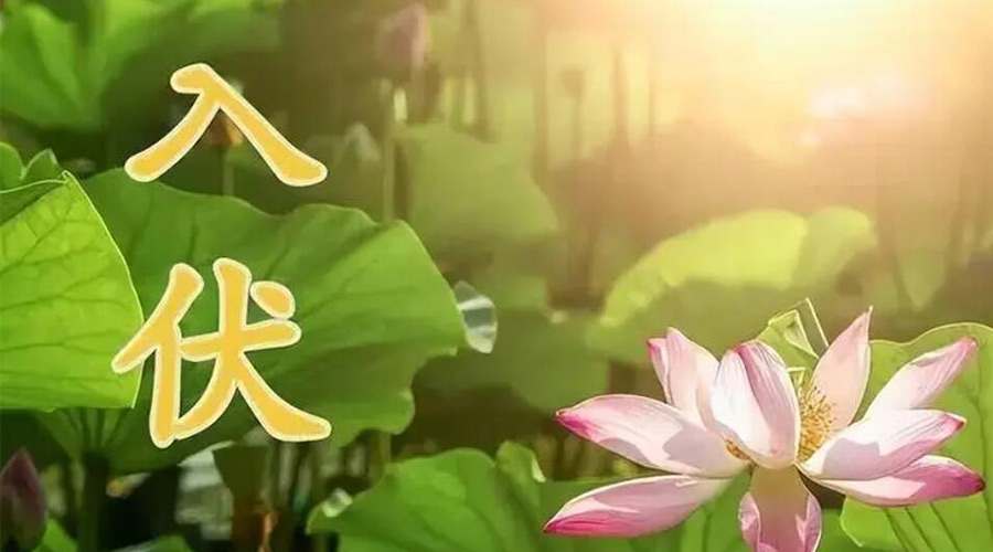 入伏天來襲！金環(huán)電器提醒大家要注意的事項