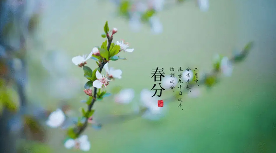 春分雨水多易生菌！金環(huán)電器提醒你衣物要注意處理