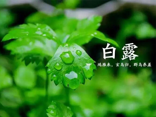 金環(huán)電器 金環(huán)電器