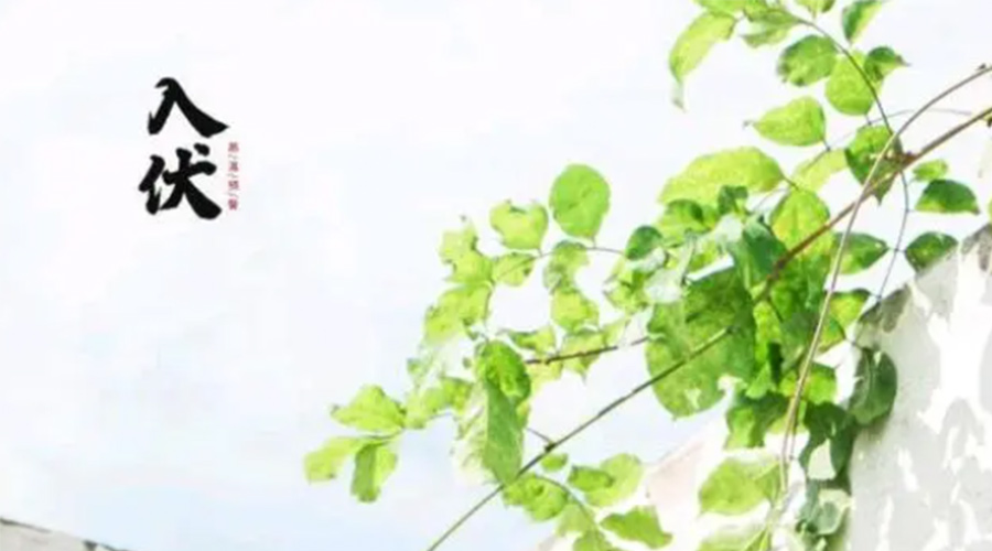 初伏時節(jié)！金環(huán)電器提醒大家要注意的事項