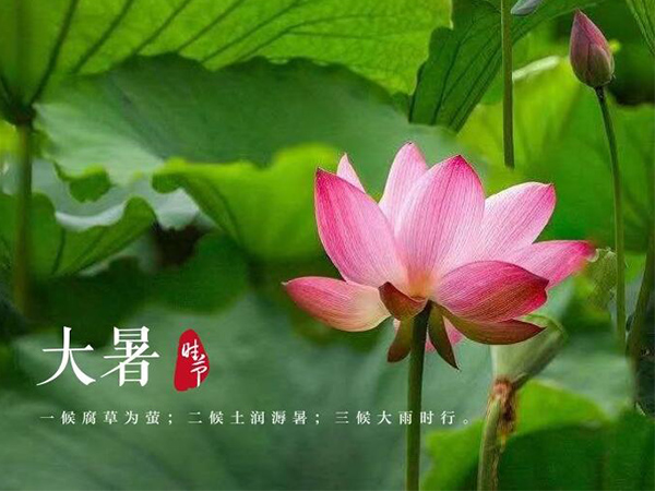 金環(huán)電器 金環(huán)電器
